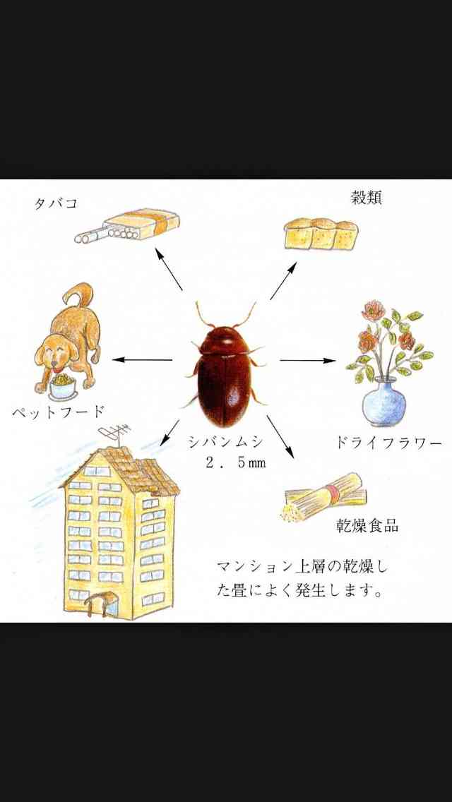 【そうめん】「揖保乃糸」が保存しづらいと問い合わせ → 冷たい返事だと思ったら最後は神対応