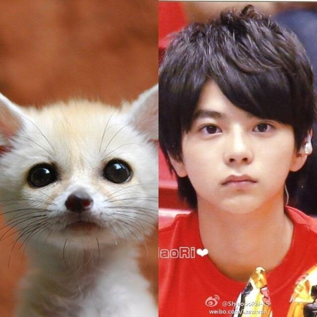芸能人同士で似てると思う人