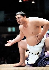 相撲好きですか？