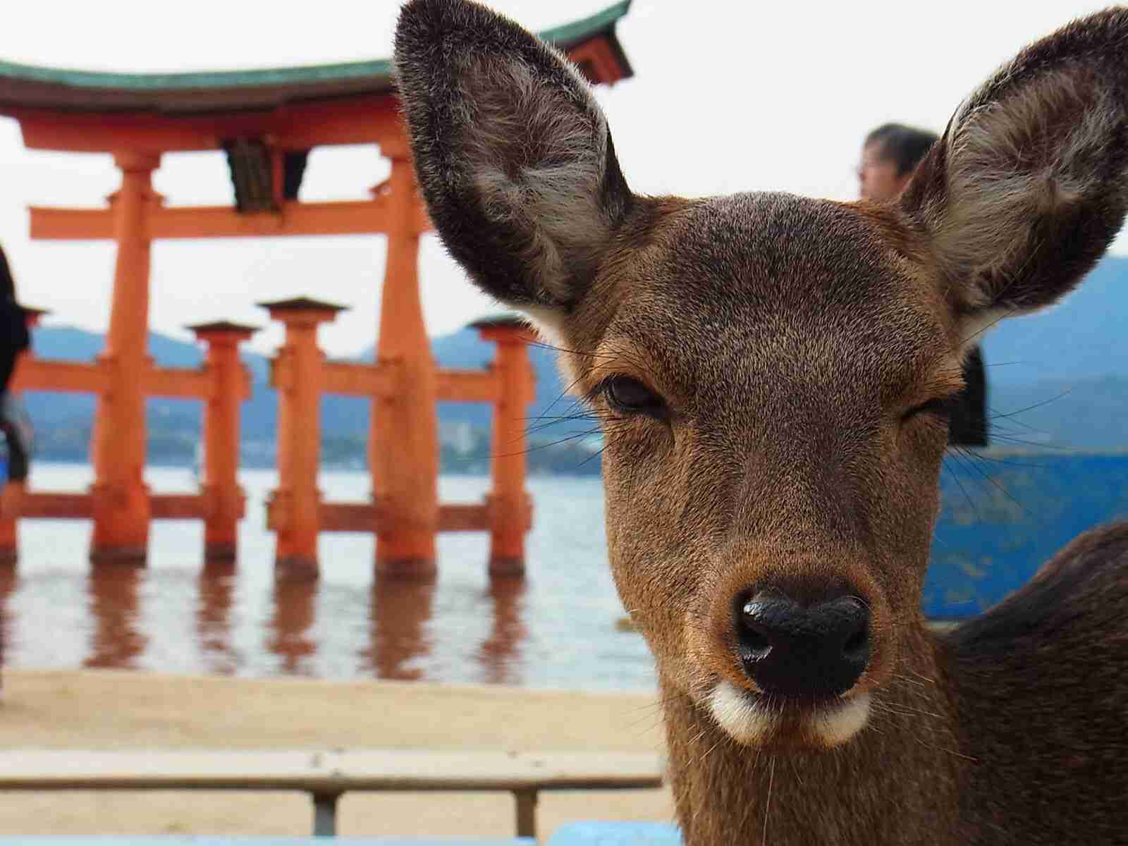 あなたの好きな都道府県は