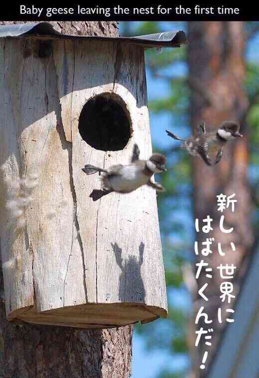 垢ぬける方法、ポイント