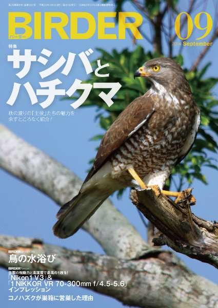 鳥好きな人～♪