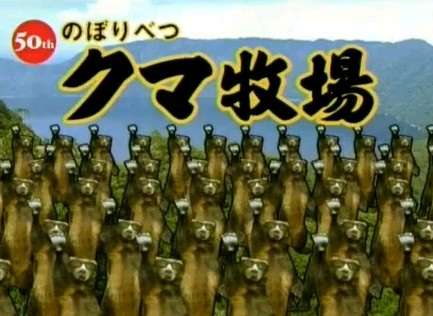 のぼりべつクマ牧場とは (ノボリベツクマ ...
