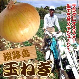 【実況＆感想】ナイナイお見合い大作戦　淡路の花嫁３時間スペシャル