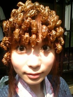 「保健所に連れて行くなっ」中川翔子にTwitterで晒された一般人がアカウント削除に追い込まれ炎上