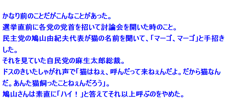 テレ東のニュース番組のアイドル猫「まーご」が自由すぎる　