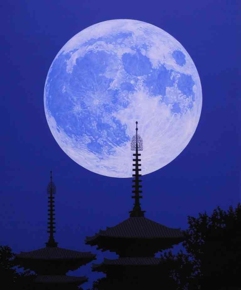 夜景を楽しむトピ