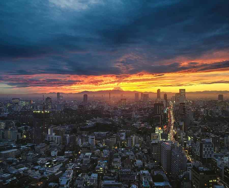 夜景を楽しむトピ