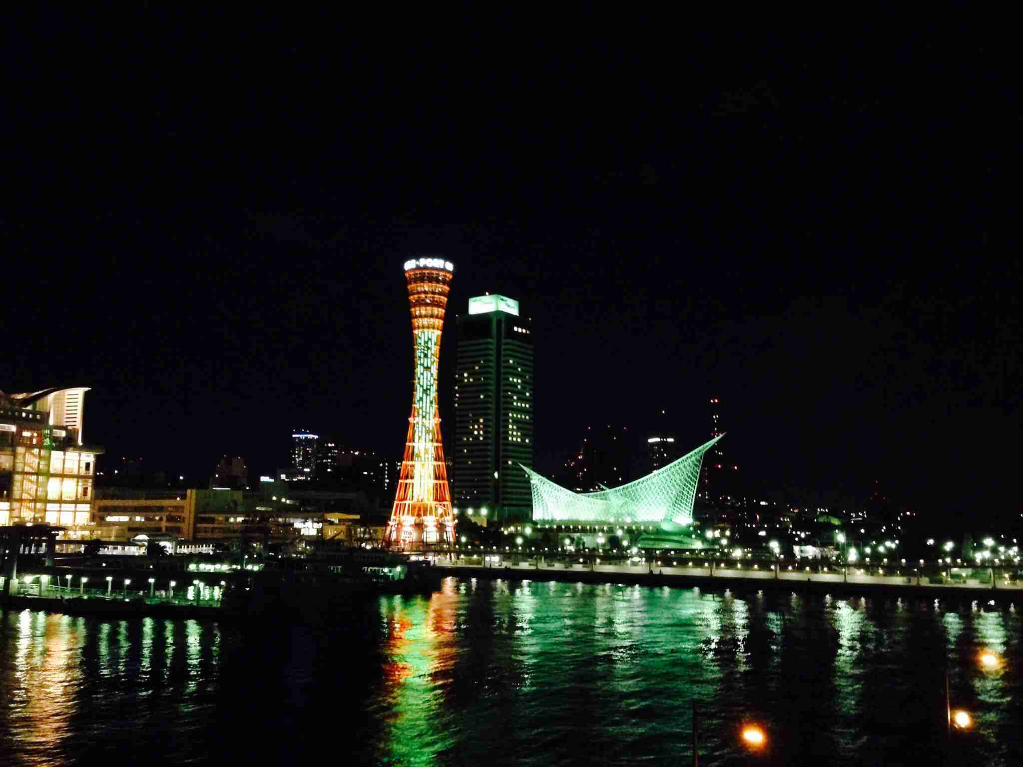 夜景を楽しむトピ