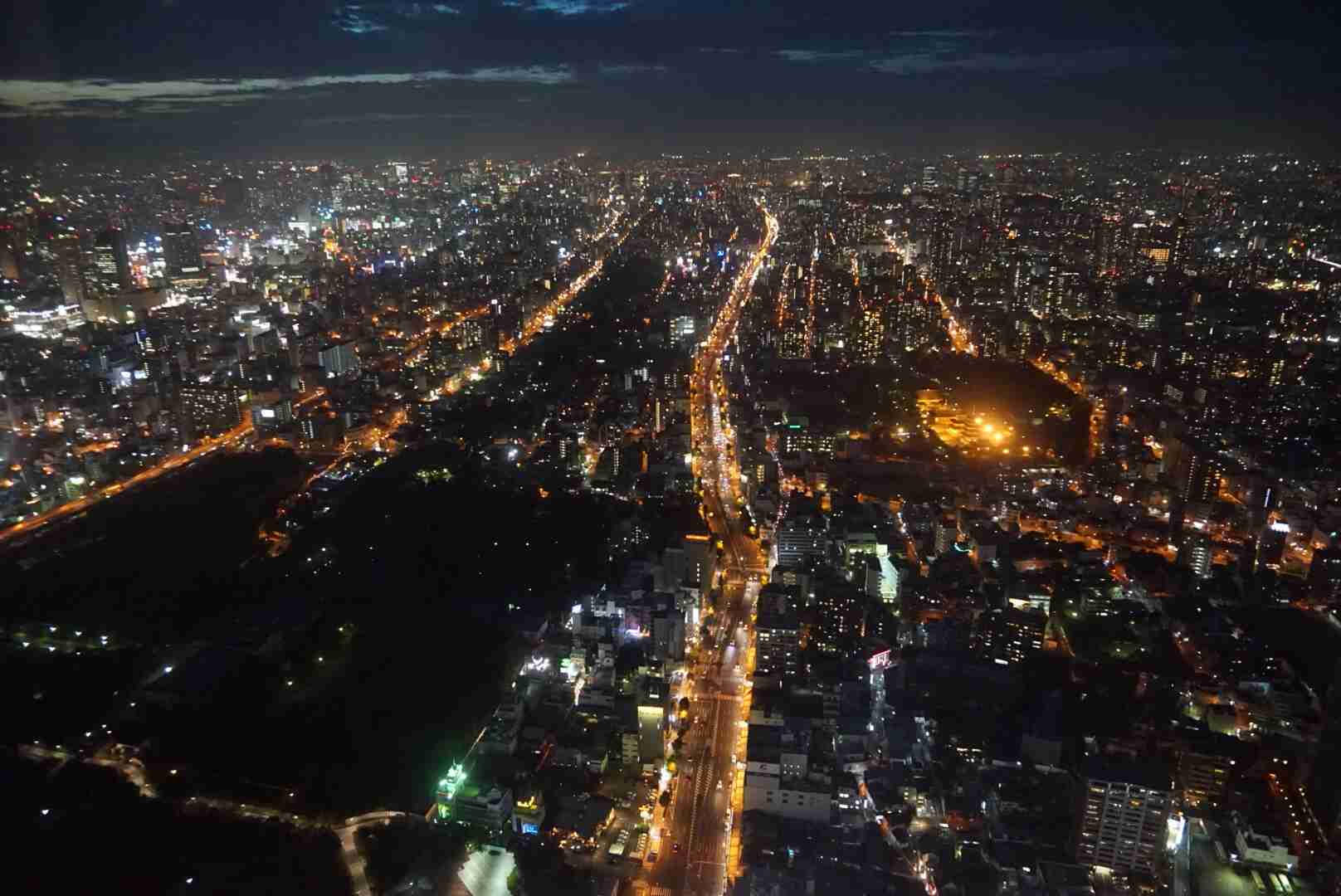 夜景を楽しむトピ