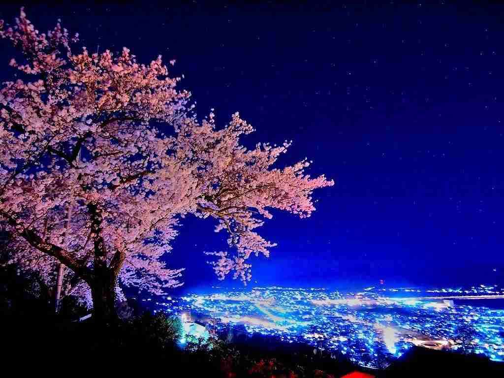 夜景を楽しむトピ