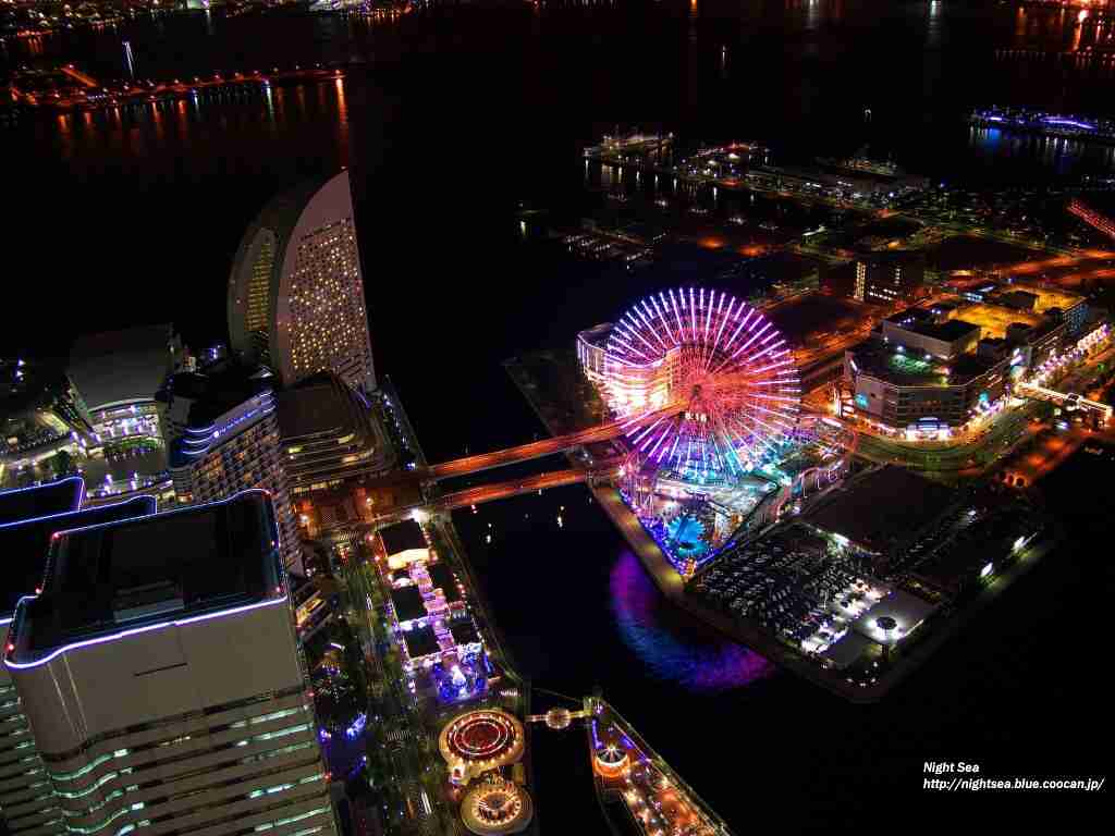 夜景を楽しむトピ