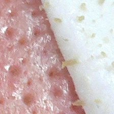 人には言えない趣味