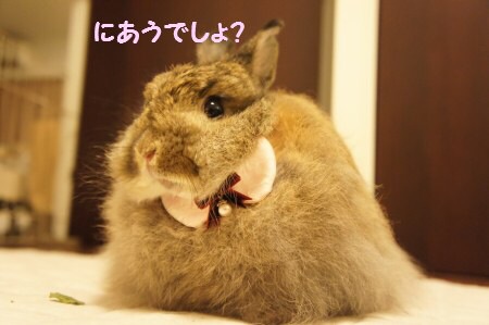 メイクあるある