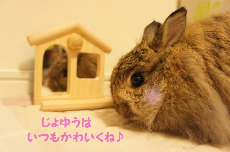 メイクあるある