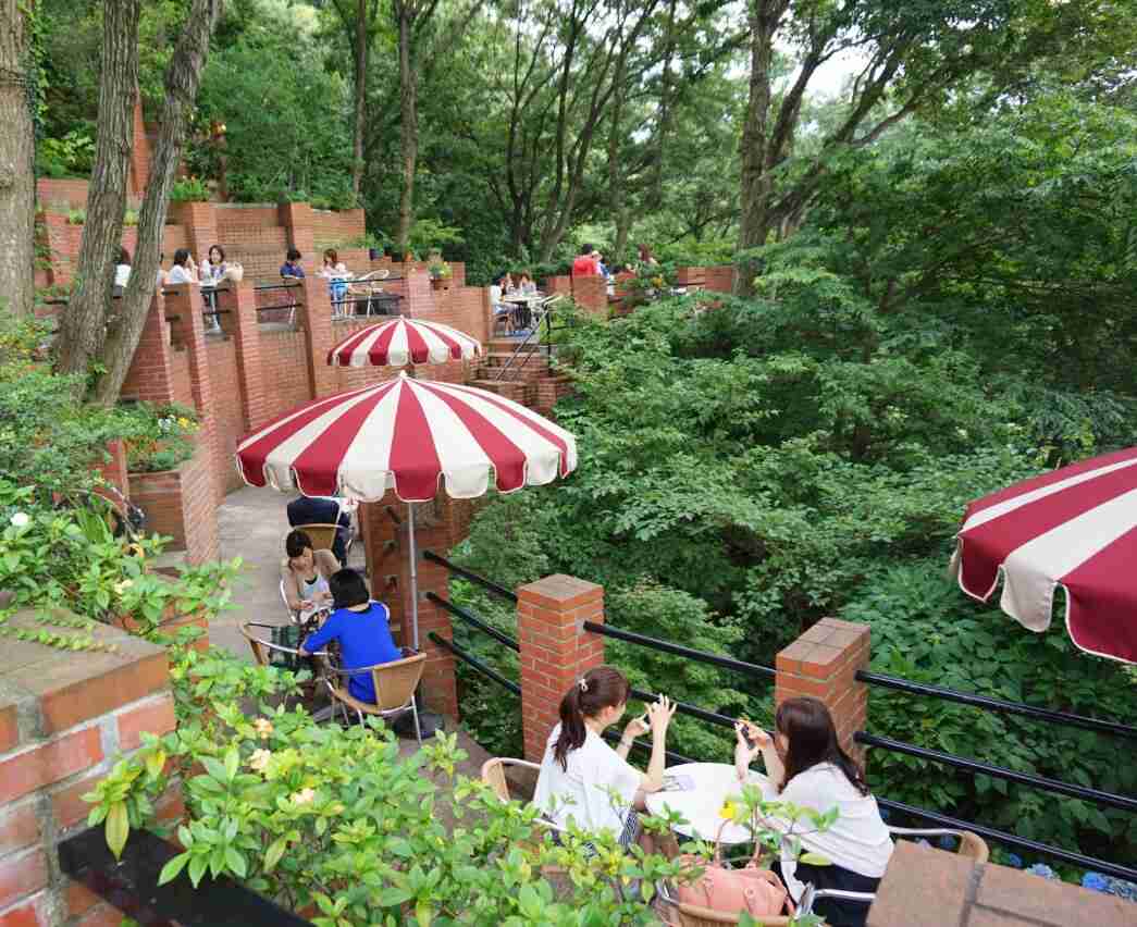 行ってみたい、行ってみたら良かったカフェ♪(画像)