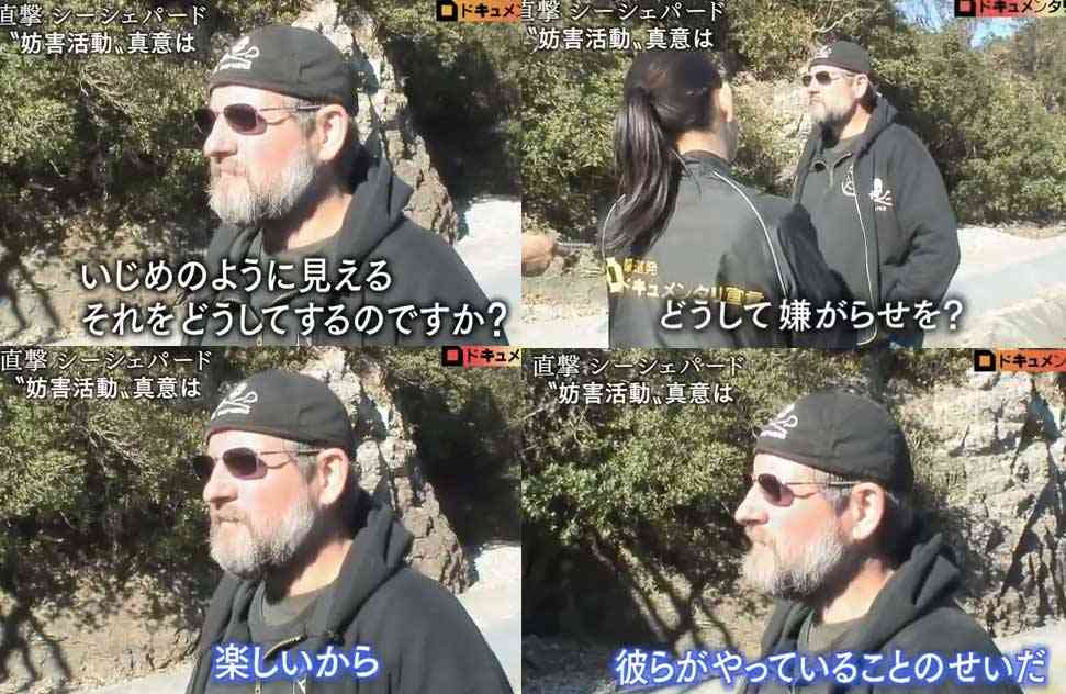 芸能人ツイッターに「反イルカ猟」攻撃