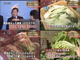 食生活で避けているものについて