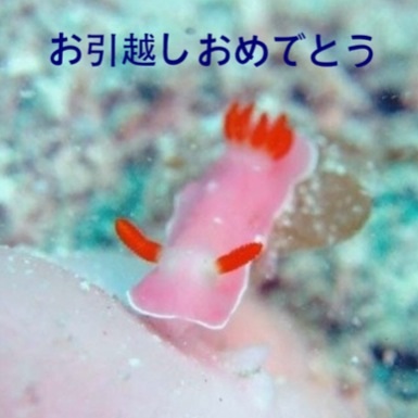 お酒好きだけど、禁酒した事がある方！
