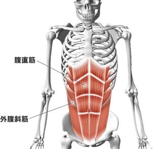 知恵袋や親や友達には聞けないことなどを質問するトピ