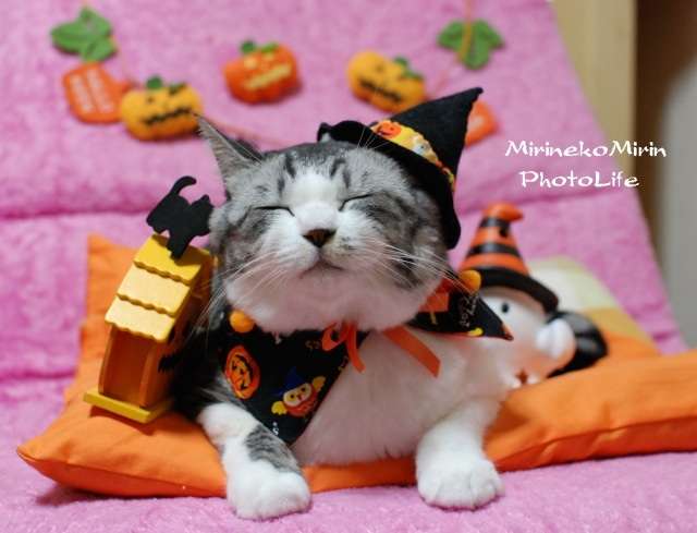 フィギュアdeハロウィンパーティー！