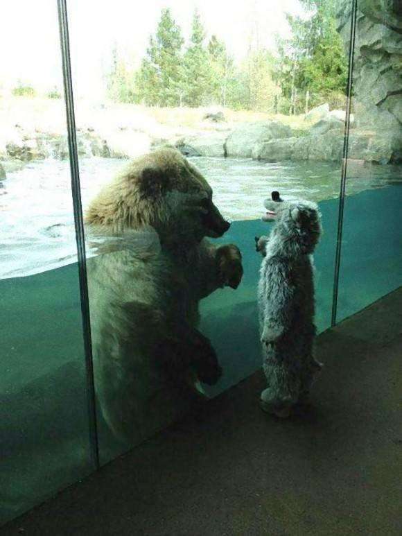 動物と赤ちゃんの組み合わせの画像を貼っていきましょう！