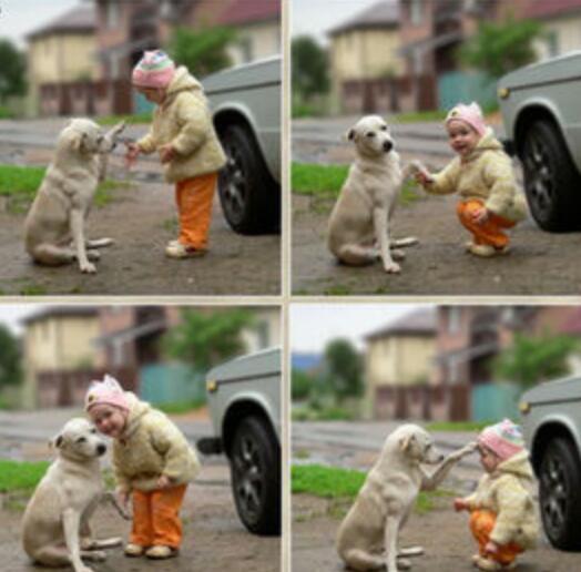 動物と赤ちゃんの組み合わせの画像を貼っていきましょう！