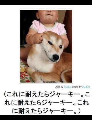 動物と赤ちゃんの組み合わせの画像を貼っていきましょう！