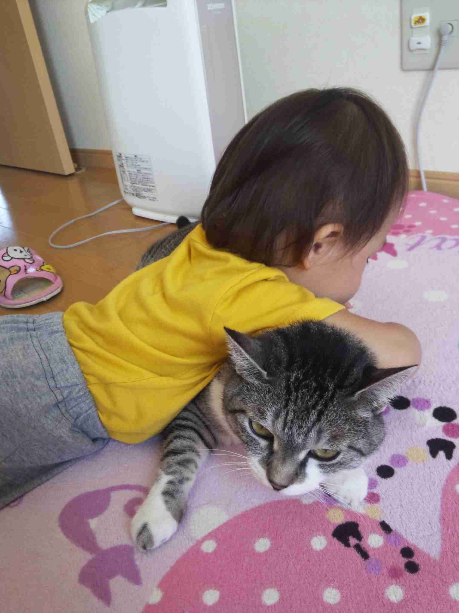 動物と赤ちゃんの組み合わせの画像を貼っていきましょう！