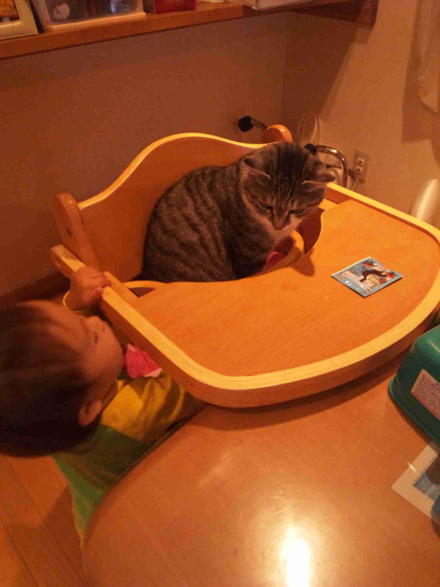 動物と赤ちゃんの組み合わせの画像を貼っていきましょう！