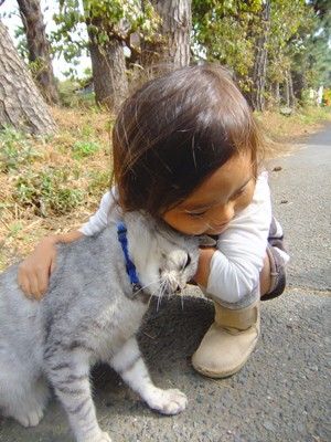 動物と赤ちゃんの組み合わせの画像を貼っていきましょう！