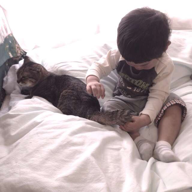 動物と赤ちゃんの組み合わせの画像を貼っていきましょう！