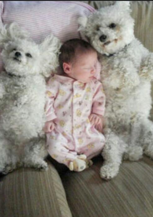 動物と赤ちゃんの組み合わせの画像を貼っていきましょう！