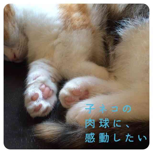 今を楽しんで生きていますか？