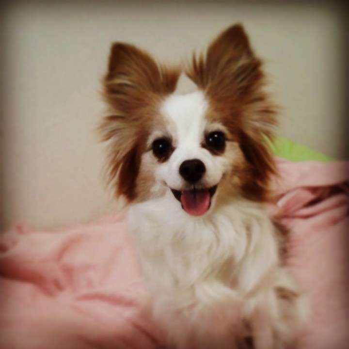 10月生まれの皆さん!お誕生日会トピ