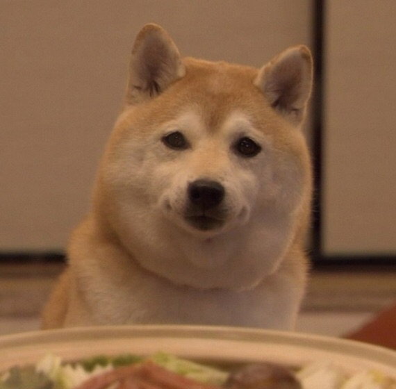 どこまでも脱線していくトピ