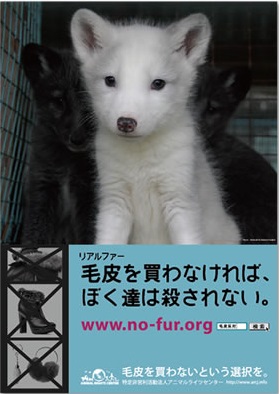 自分には良さが分からないもの。