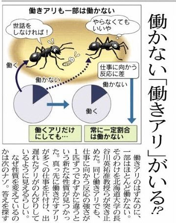 雑学を喋りましょう(^∇^)