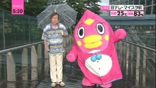 夕方のテレビ番組どこみますか?