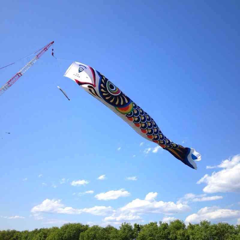 埼玉の魅力教えて！