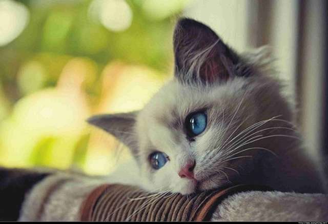 ガルちゃん画像あるある！