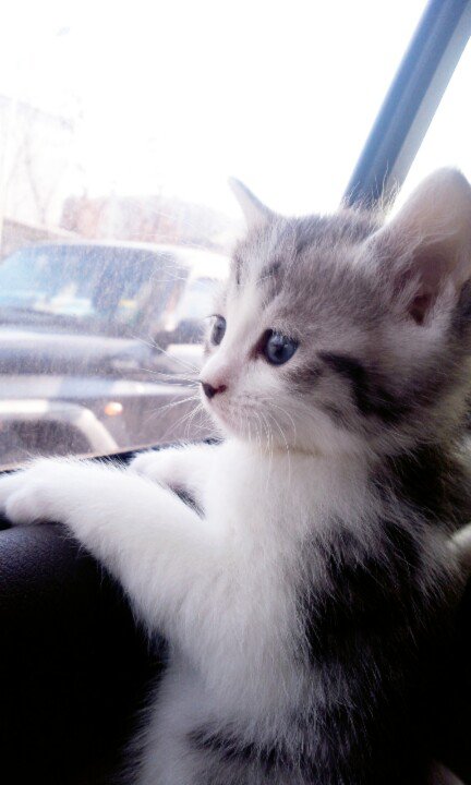 ガルちゃん画像あるある！