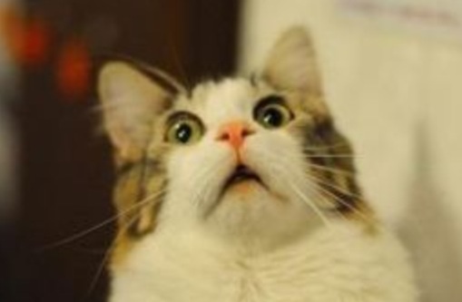 ガルちゃん画像あるある！