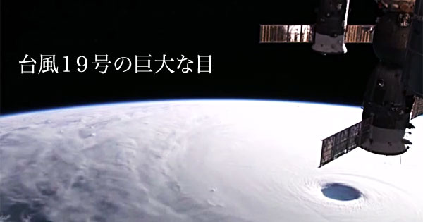 【台風】連休の旅行計画は実行しますか?