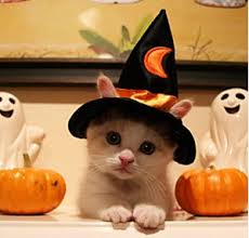 【閲覧注意！】外人のハロウィンコスプレが相変わらず凄い