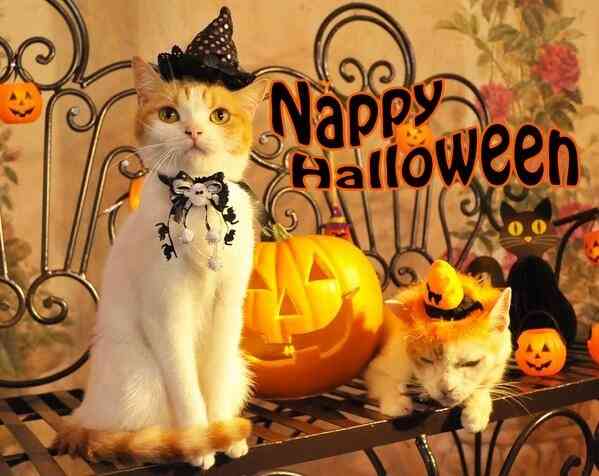 【閲覧注意！】外人のハロウィンコスプレが相変わらず凄い