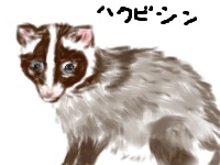 偶然うまくいった事!
