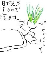 偶然うまくいった事!