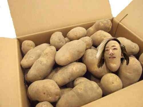 「プロレス女子」が急増、入門書や「女子会」…会場ではイケメンレスラーに熱烈声援