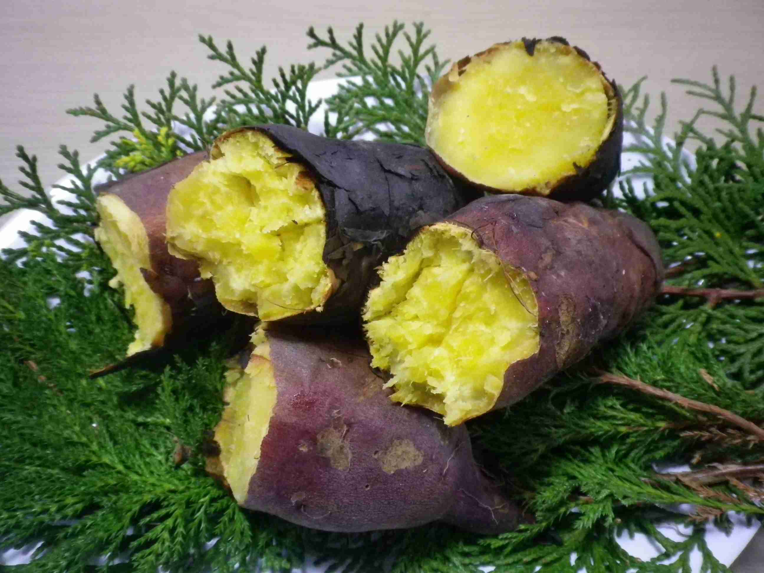 秋を満喫できてますか？